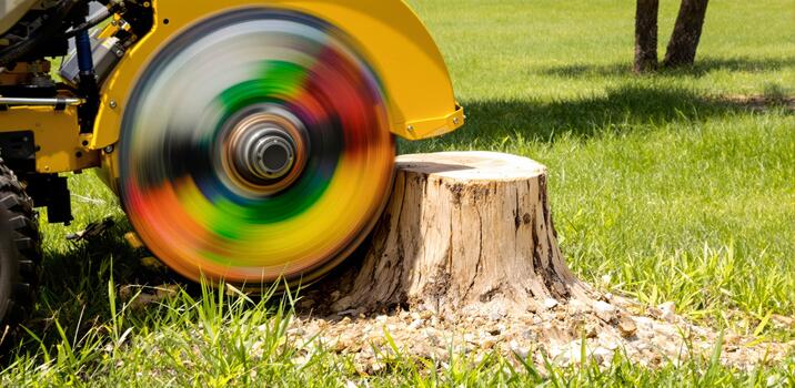 Stump grinder clearing an old tree stump from a residential yard